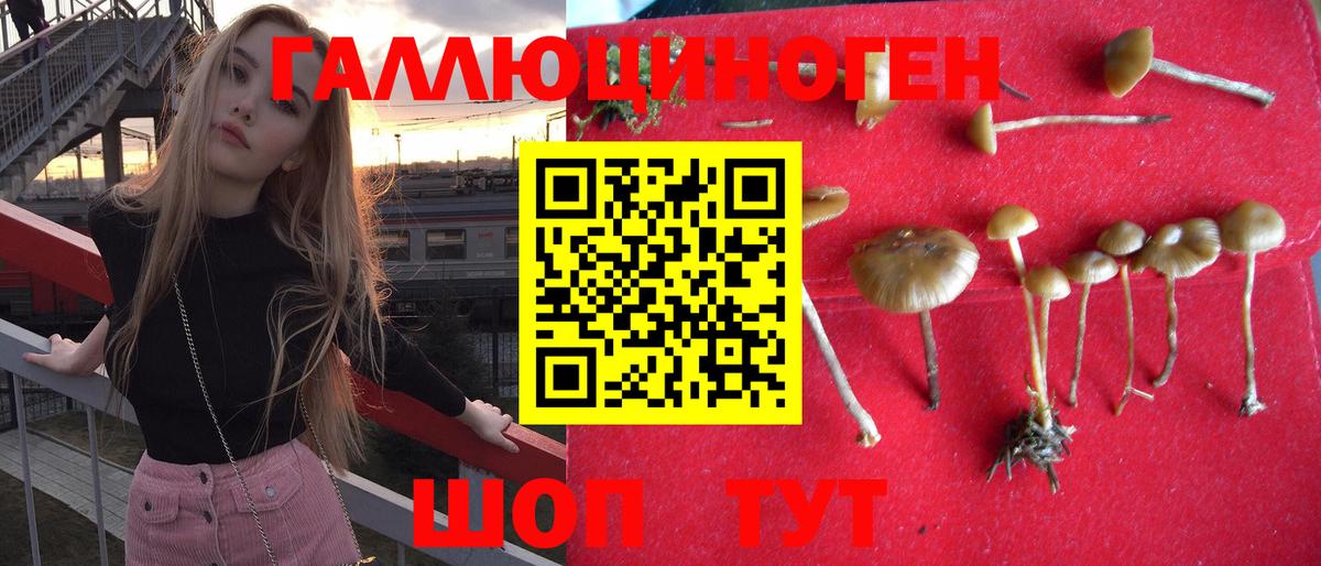 Галлюциногенные грибы Cubensis Чапаевск