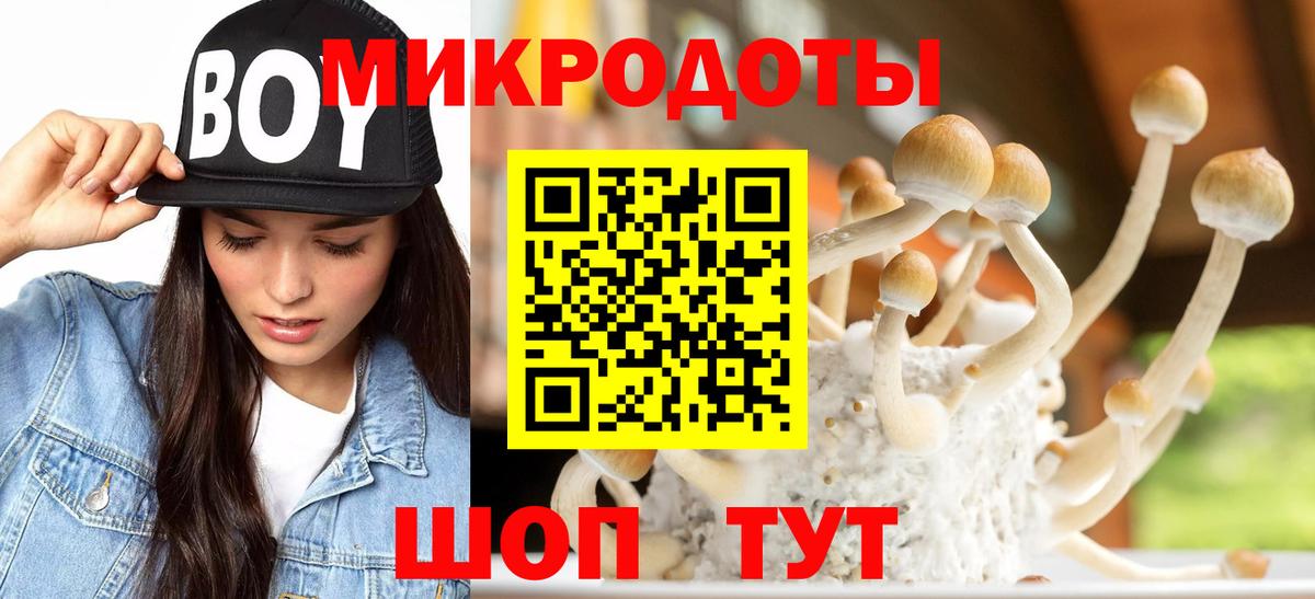 Галлюциногенные грибы MAGIC MUSHROOMS  Псилоцибиновые грибы прущие грибы  Вход с VPN  Чапаевск 